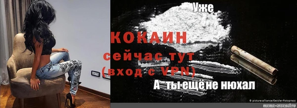 винт Козловка