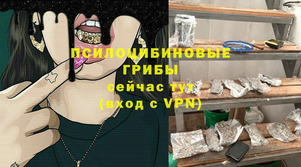 винт Козловка