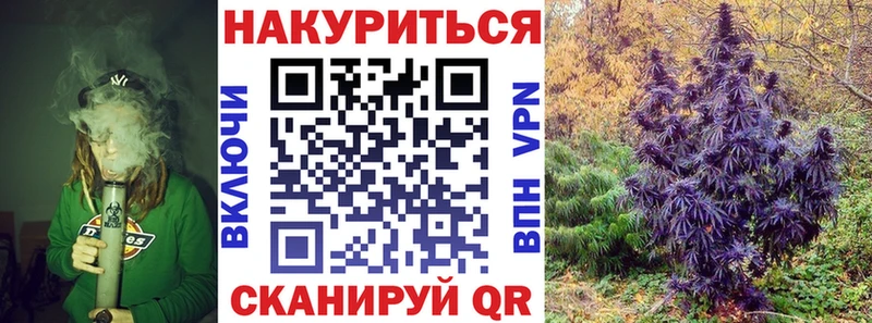 Купить где  Рассказово  Марихуана сатива 